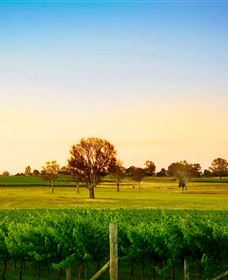 Canberra District Wineries - Accommodation Perth 0