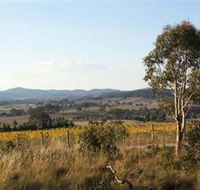 Yarrh Wines - Accommodation Perth