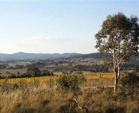 Yarrh Wines - Accommodation Perth 0