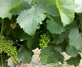 Kerralee Wines - Accommodation Perth 1
