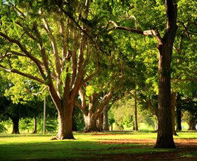 Queens Park, Toowoomba - Accommodation Perth 1