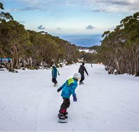 Mt Baw Baw Alpine Resort - Perth Resorts