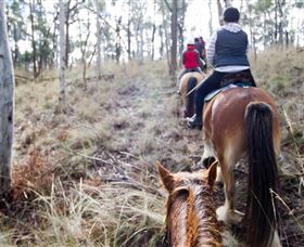 Burnelee Excursions On Horseback - Accommodation Perth 1
