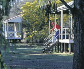Dryandra Woodland - Accommodation Perth 0