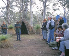Dryandra Woodland - Accommodation Perth 2