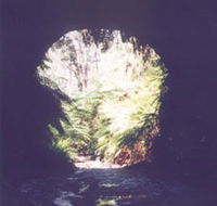 Glow Worm Tunnel - Accommodation Perth