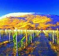 Surveyors Hill Winery - Accommodation Perth