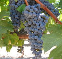 Joshuas Fault Wine - Accommodation Perth