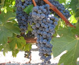 Joshuas Fault Wine - Accommodation Perth 0