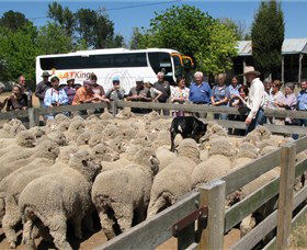 Canberra And Surrounds ACT Accommodation Perth