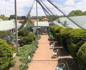 Canberra Walk In Aviary - Accommodation Perth 2