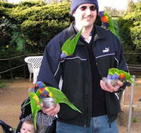 Canberra Walk In Aviary - Accommodation Perth