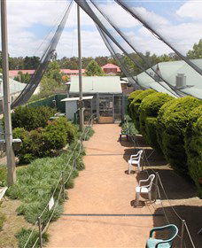 Canberra Walk In Aviary - Accommodation Perth 3