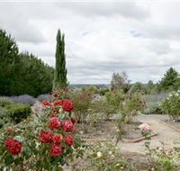 Crystal Brook Lavender Farm - Accommodation Perth