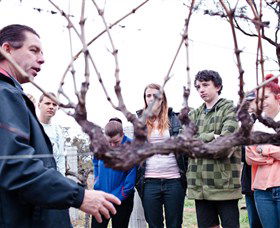 Varias Restaurant And Conference Centre Incorporating Banca Ridge Winery Cellar Door - Perth Resorts 3