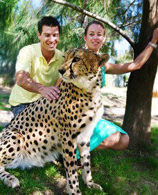 National Zoo & Aquarium - Accommodation Perth 0
