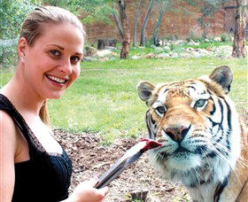 National Zoo & Aquarium - Accommodation Perth 1