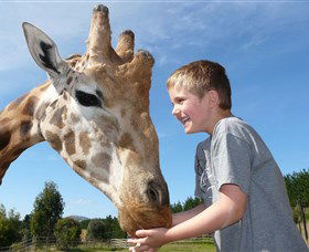 National Zoo & Aquarium - Accommodation Perth 3