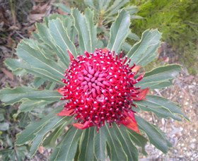 All Sydney Touring - Perth Resorts 4