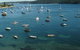 Bailey's Sydney - Tours For People Who Don't Like Tours - thumb 7