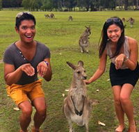 Runaway Tours - Accommodation Perth