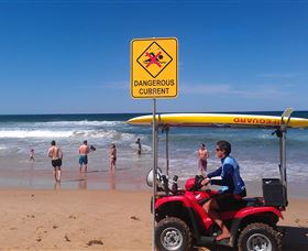 Waratah Adventure Tours - Accommodation Perth 2