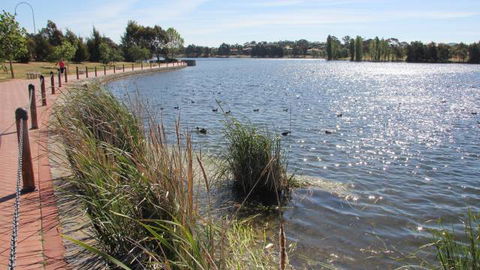 Yerrabi Pond - Accommodation Perth 1