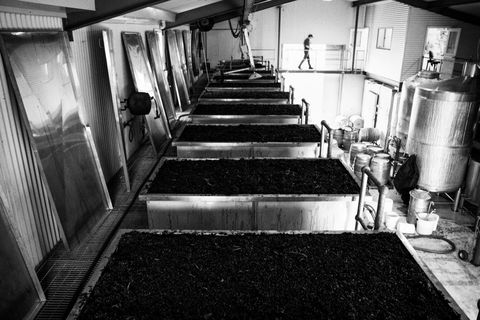 Clonakilla Wines - Accommodation Perth 9