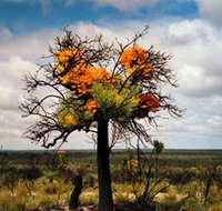 The Delmar Gallery - Accommodation Perth