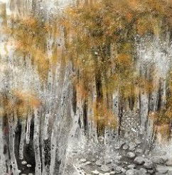 Kerrie Lowe Gallery - Perth Resorts 3