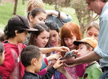 Blackbutt Reserve - Perth Resorts 2