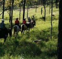 Hunter Valley Horse Riding and Adventures - Accommodation Perth