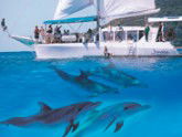 Imagine Cruises - Accommodation Perth 2