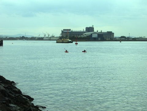 Newcastle Kayak Tours - Perth Resorts 5