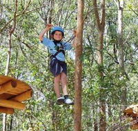 TreeTops Newcastle - Accommodation Perth