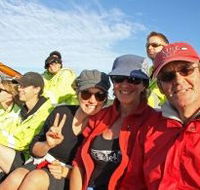 Byron Bay Whale Watching - Accommodation Perth