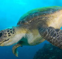 Byron Bay Dive Centre - Accommodation Perth