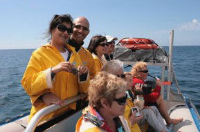 Byron Bay Dolphin Wildlife Tours - Accommodation Perth 2