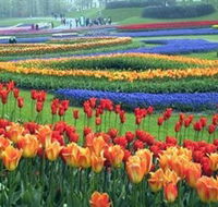 Botanica World Discoveries - Accommodation Perth