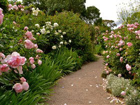 Ross Garden Tours - Accommodation Perth 0