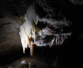 Country Charmâ„¢ Discovery Tours - Accommodation Perth 1