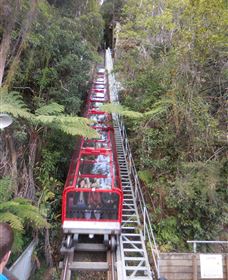 Country Charmâ„¢ Discovery Tours - Accommodation Perth 6