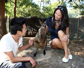 VIP Aussie Gold - Perth Resorts 0