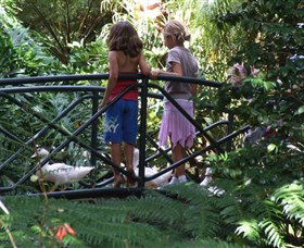 EG Waterhouse National Camellia Garden - Accommodation Perth 0