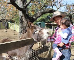 Golden Ridge Animal Farm - Accommodation Perth 1