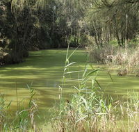 Second Ponds Creek walk - Accommodation Perth