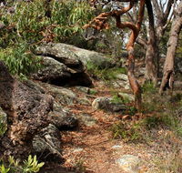 Box Head track - Accommodation Perth