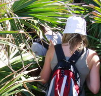 Palm Jungle loop track - Perth Resorts