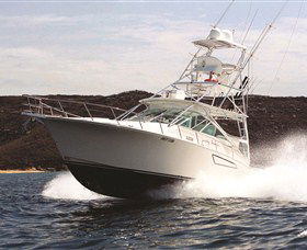 1300 Big Fish - Accommodation Perth 0