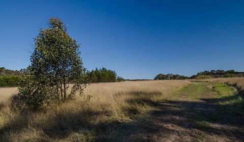 Scheyville Horse Riding Trails - Accommodation Perth 0